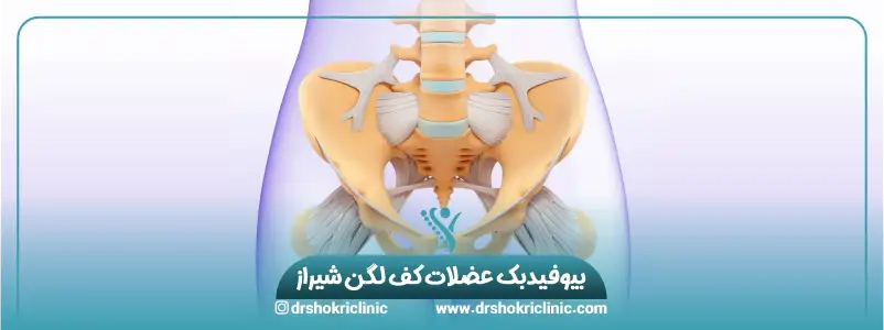 بیوفیدبک عضلات کف لگن شیراز