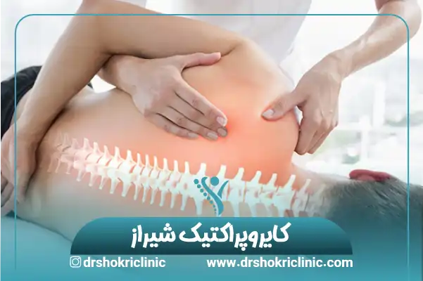 کایروپراکتیک شیراز